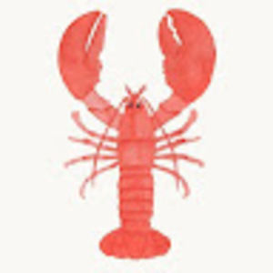 Meet your Posher, Gabbie